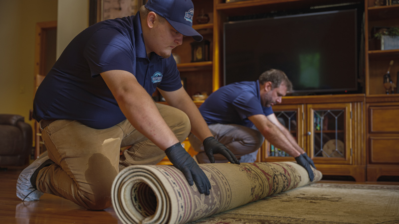 Carpet Cleaning